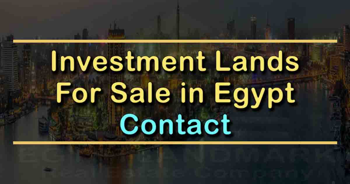 Contact - Investment Lands For Sale & Partnership in Egypt